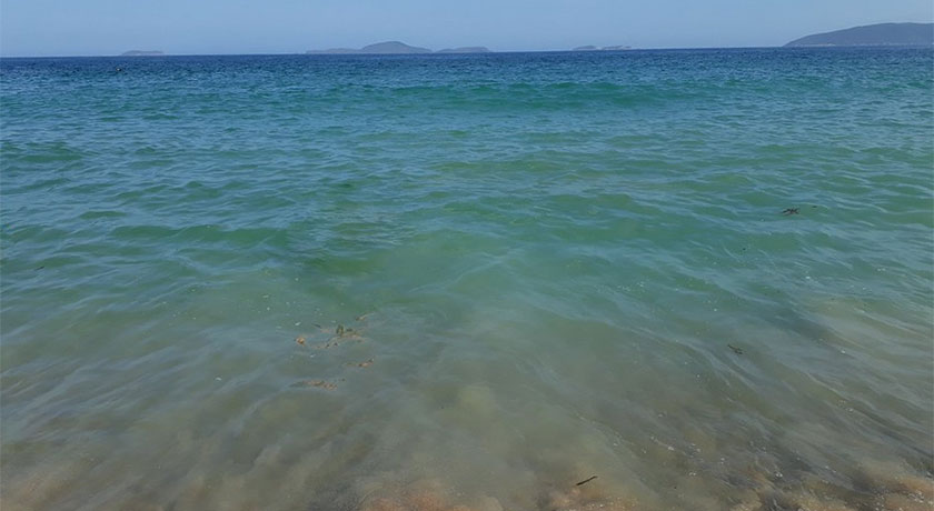 playa-bahia-formosa-buzios-rio-de-janeiro-95506.webp