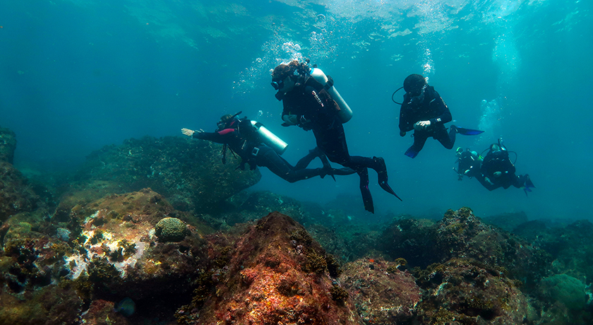 Excursión Boat diving for divers 