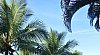 pousada-hibiscus-center-hotel-buzios-rio-de-janeiro-p1-14860.jpg