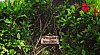pousada-casa-buzios-hotel-buzios-rio-de-janeiro-p1-68264.jpg