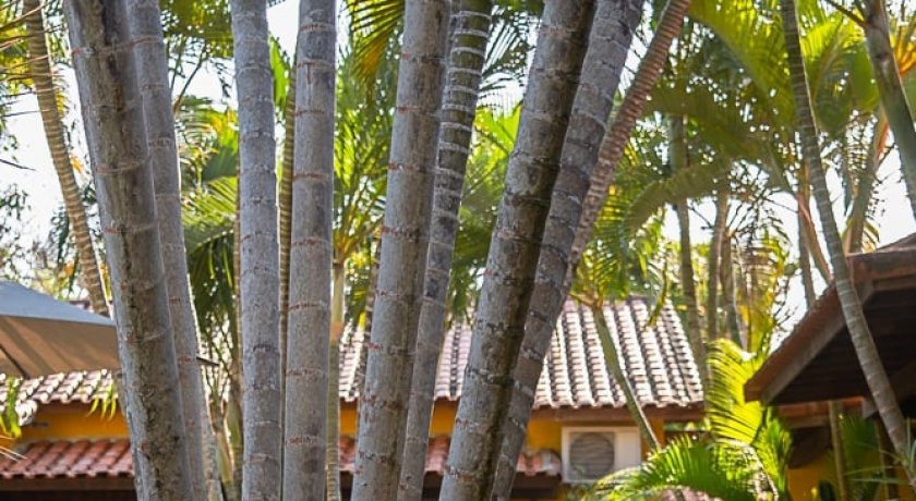 pousada-villa-bella-buzios-hotel-buzios-rio-de-janeiro-p1-84731.jpg