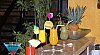 rio-buzios-beach-hotel-buzios-rio-de-janeiro-p1-61173.jpg