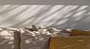 casas-brancas-boutique-hotel-spa-buzios-rio-de-janeiro-89888.jpg