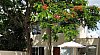 pousada-casa-serra-alves-hotel-buzios-rio-de-janeiro-68799.jpg