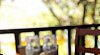 peixe-crew-rua-das-pedras-hotel-buzios-rio-de-janeiro-99781.jpg