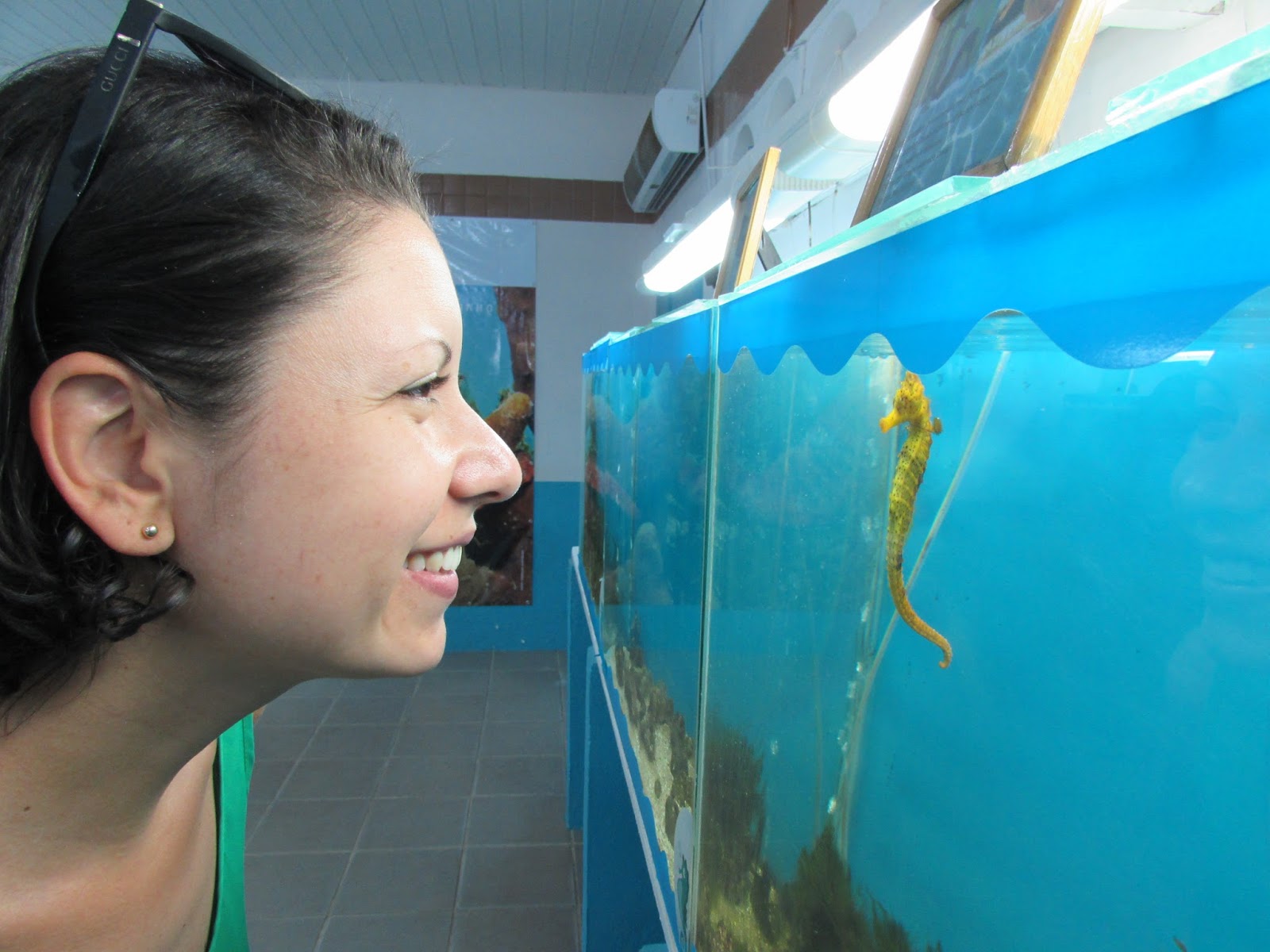 Proyecto Hippocampus